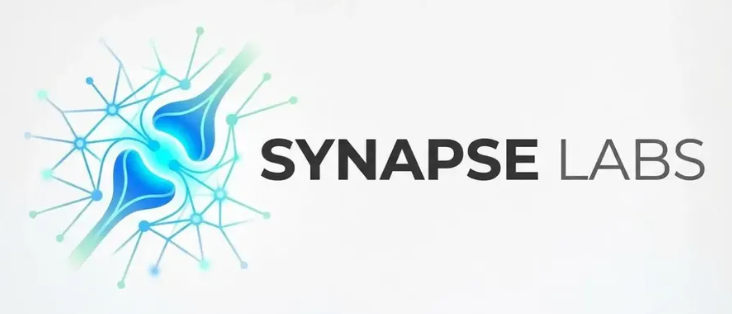 Synapse Labs